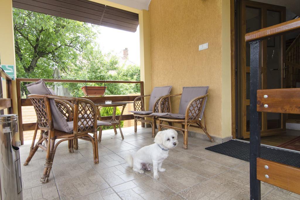 Pension Alexia Sibiu Exterior foto